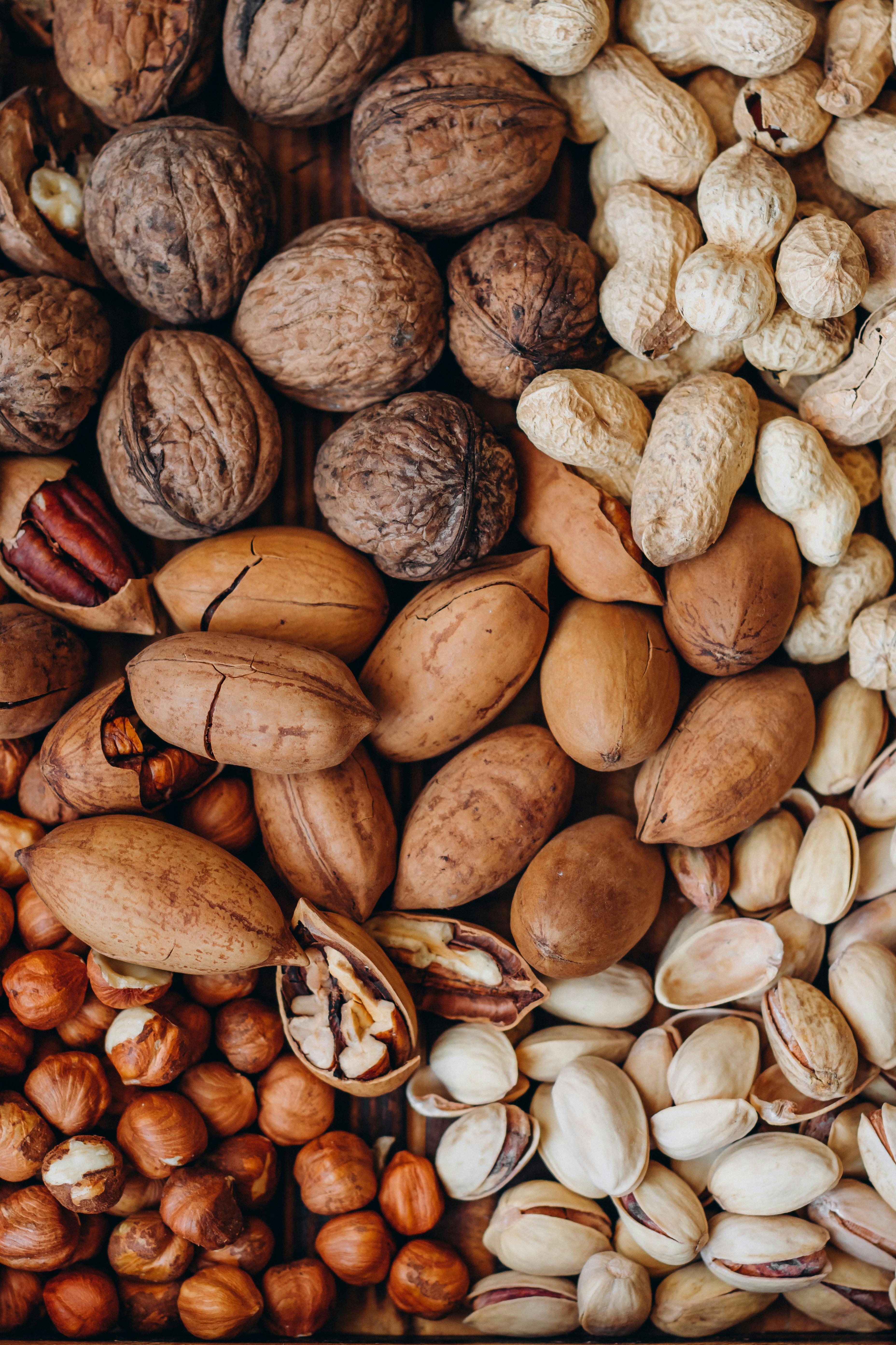 Dried Fruits & Nuts — خشکبار و آجیل